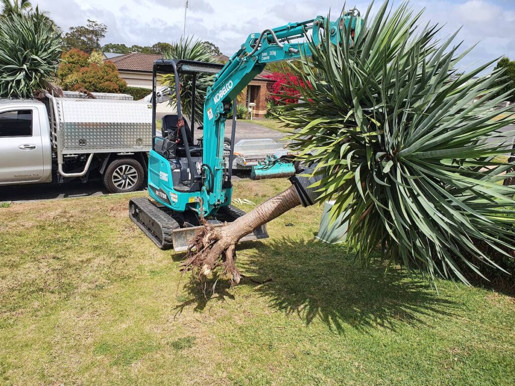 a Kobelco excavator with a tree in the back